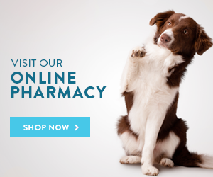 Shop Vet Pharmacy
