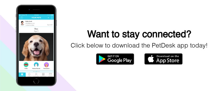 pet desk app download