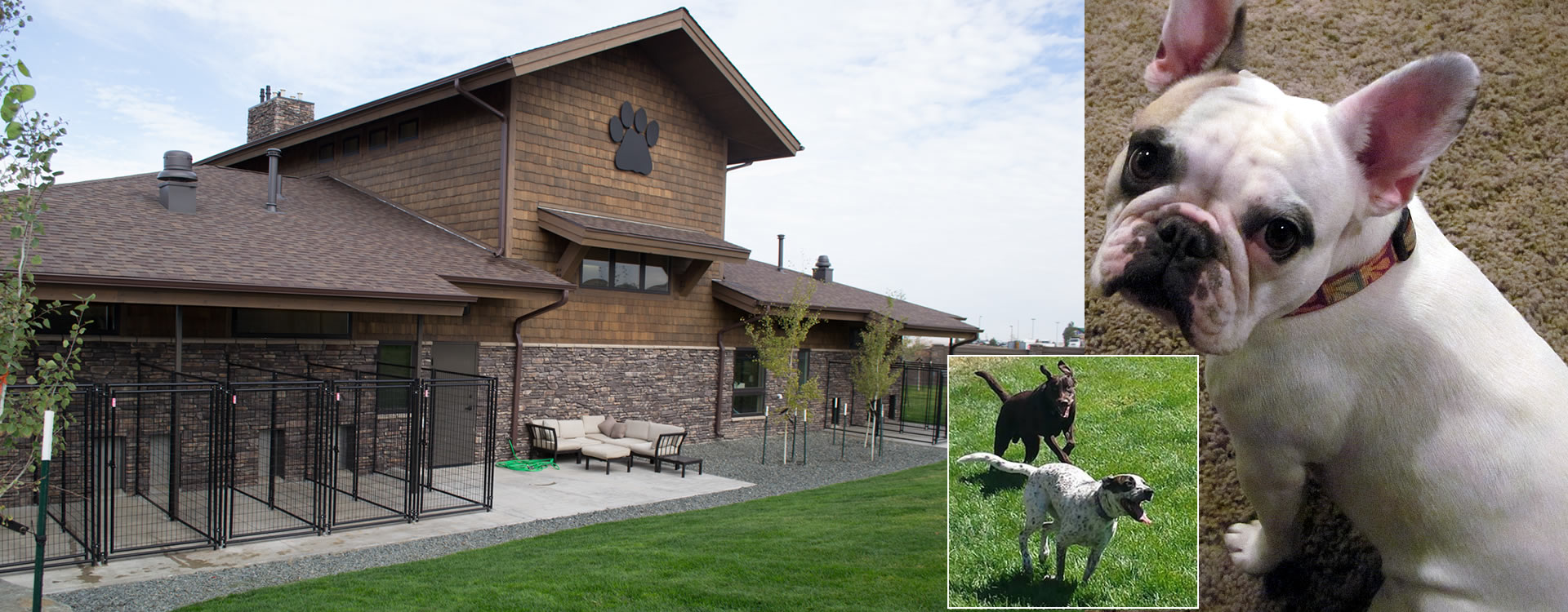 Rocky Mountain Animal Hospital Boarding